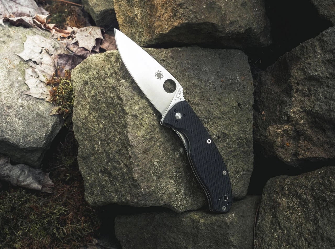 Spyderco Tenacious Satin Plain 5 Spyderco Tenacious Satin Plain – Bild 3