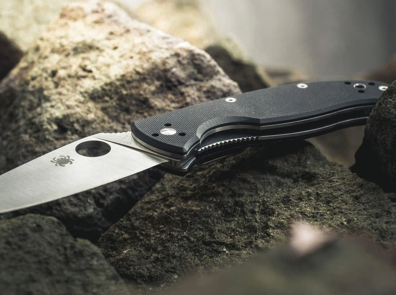 Spyderco Tenacious Satin Plain 4 Spyderco Tenacious Satin Plain – Bild 2